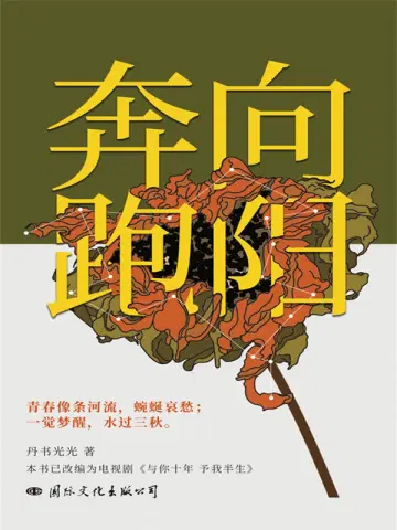 向阳奔跑（张耀&张雅钦主演《与你十年，予我半生》影视原著 ）