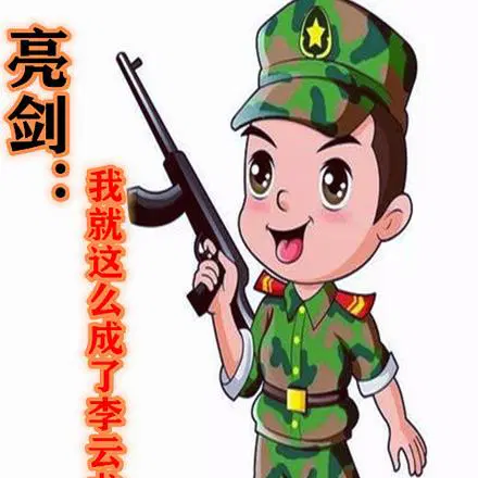 权臣HLH将军皇上