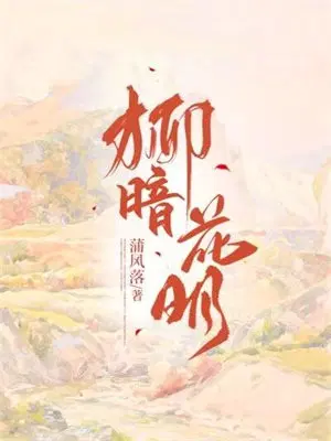 柳暗花明