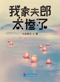 我家夫郎很全能作者:淡若清风过