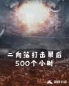 二向箔打击最后500个小时