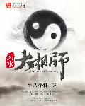 风水大相师陈阳