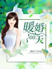 找小说暖婚100天