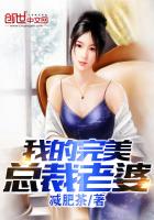 我的完美总裁老婆-钟无贱 钟无贱