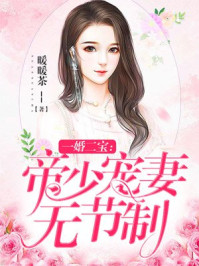 一婚二宝:帝少宠妻无节制百度网盘