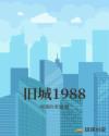 旧城1988