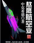 熬鹰航空业epub