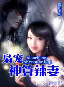 重生之风水师军妻