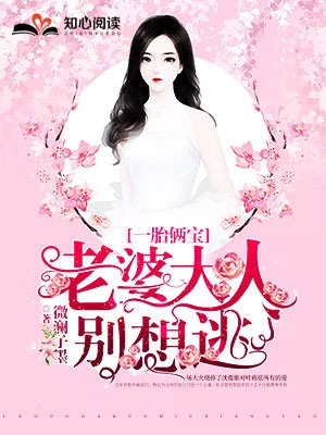 一胎俩宝:老婆大人别想逃