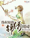 《锦绣村姑》