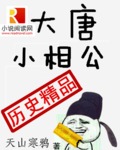 大唐小相公第二部