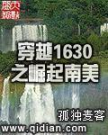 穿越1630之崛起南美 TXT