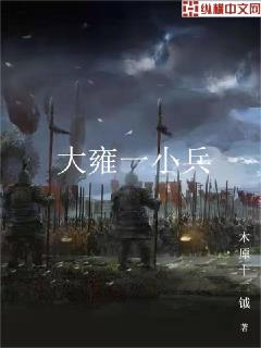 大雍一小兵好看吗