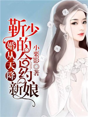 婚从天降陆少请多关照