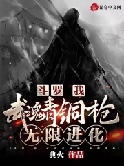 无限进化 典火