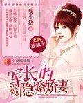 《隐婚甜妻:军长老公不放手》作者:公子月半