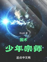 国术少年宗师起点中文网