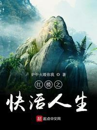 红楼之快活人生作者:炉中火暖你我