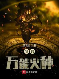 我的万能火种epub