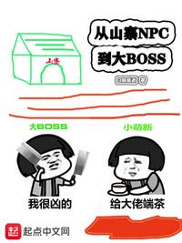 《从山寨npc到大boss》