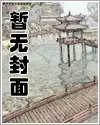 叶风叶紫灵小说最新章节免费阅读