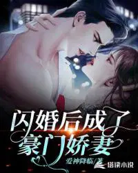 闪婚豪门engelchen无防盗