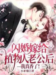 闪婚嫁给军人的小说