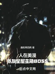 人在美漫队友全是主角boss小说