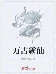 万古霸海传承小说