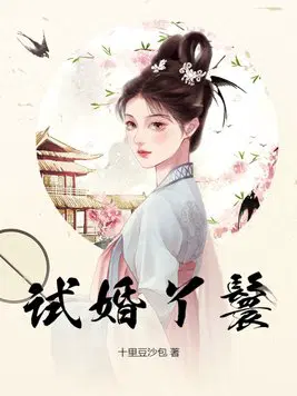 试婚丫鬟黛妃