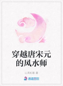 风水师穿越异界