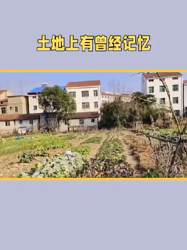 曾经荒凉的土地上