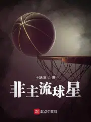 非主流球星小说