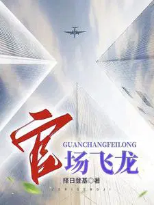 官场飞龙舒振东的小说名字