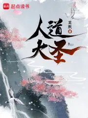 陆叶人道大圣无弹窗