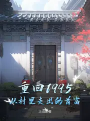 回到1995小说