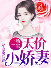 一胎二宝:天价小娇妻免费读